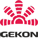 Бойлеры Gekon