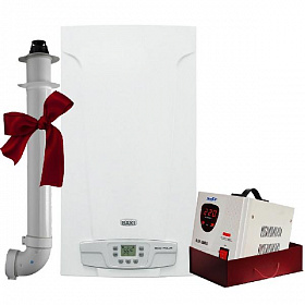 Настенный газовый котел Baxi ECO Four 1.14 F