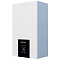Котел газовый Thermex Blaze F32 (двухконтурный, закрытая камера)