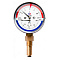 Термоманометр радиальный РОСМА, 16 бар, 0-120°C, корпус 80 мм, 1/2"