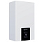 Котел газовый Thermex Blaze F32 (двухконтурный, закрытая камера)