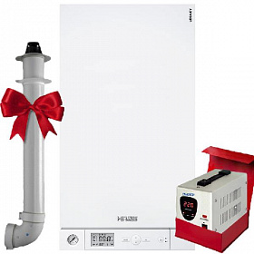 Газовый настенный котел HERMES Legacy 100-W A1JB, 30 квт (двухконтурный)