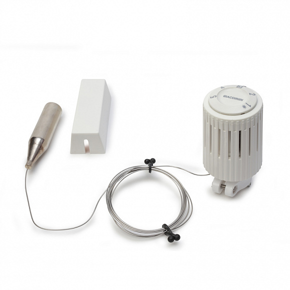 Giacomini Термоголовка с выносным датчиком L=2 м, регулировкой, с настройкой против замораживани