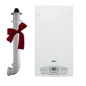 Настенный газовый котел Baxi ECO Four 1.24 F