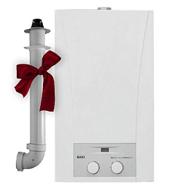 Настенный газовый котел Baxi ECO CLASSIC 24F, (двухконтурный с закрытой камерой)