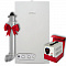Настенный газовый котел WERTRUS ECO 24 FF